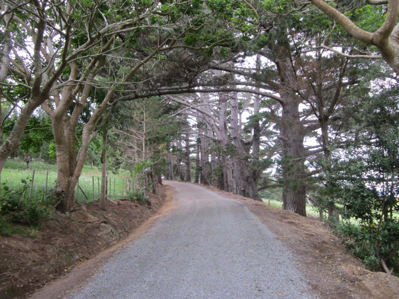 Koati Views Lake Ohia Exterior photo